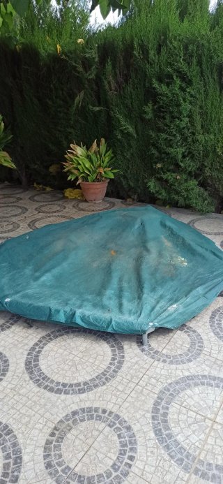 Cama elástica para jardín Decathlon  240 cms