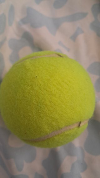 Pelota HEAD Padel Team