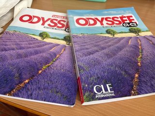 Odyssee metodo frances