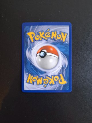 Salamence Lv.62 Carta Pokémon Prodigi segreti