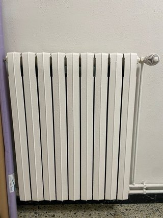 Radiadores de hierro fundido blancos