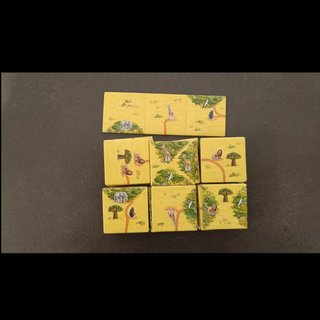 Carcassonne Safari - Gioco da Tavolo