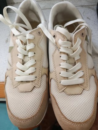 Zapatillas Calvin Klein Beige y Blancas