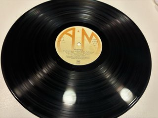 Carpenters The Singles 1969-1973 Vinilo