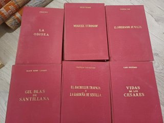 Lote libros