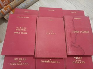Lote libros