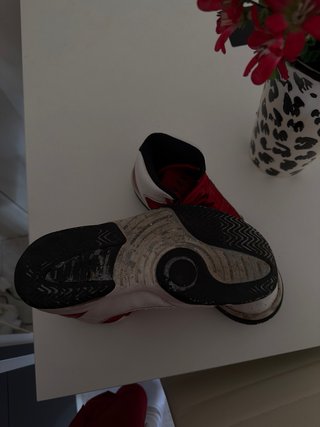 Zapatillas JORDAN MAX AURA
