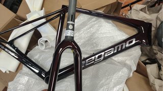 Megamo Raise 2024 - Bici de Carretera