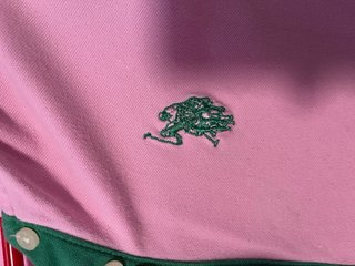 Vestido Polo Rosa Ralph Lauren