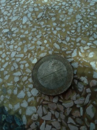 Moneda antigua Holandesa