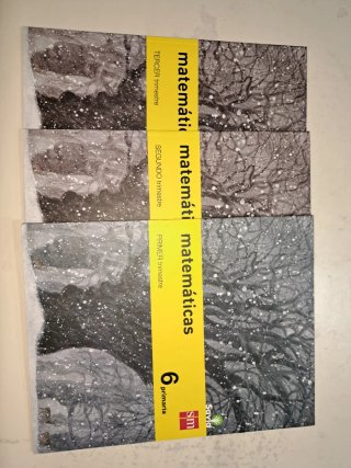 Los 3 libros de matemáticas 6⁰ Primaria SM. Nuevos