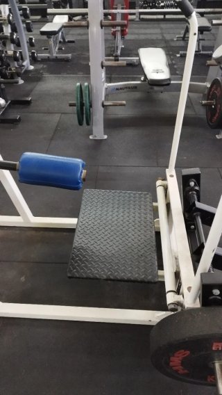 Máquina Multicadera Life Fitness