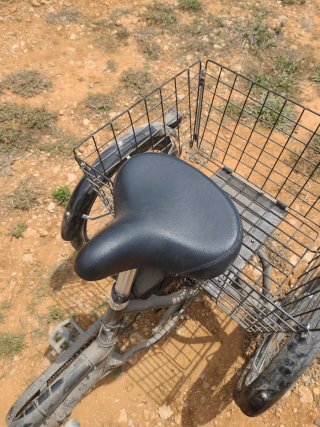 Parte delantera Triciclo eléctrico 20 pulgadas