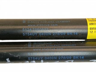 AMORTIGUADORES MALETERO / PORTON BMW SERIE 1 BERL