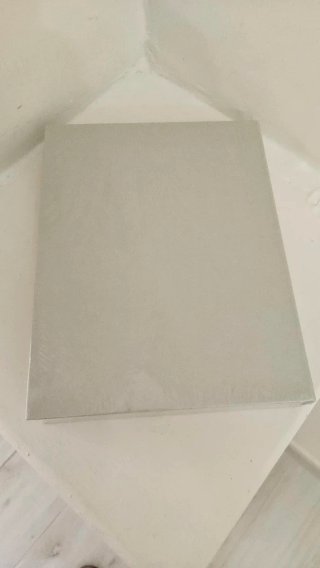 Max Mara Taccuino VIP Gift Sfilata