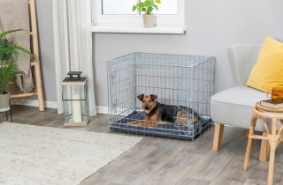 Kennel Trixie per cani o gatti Home Misura S
