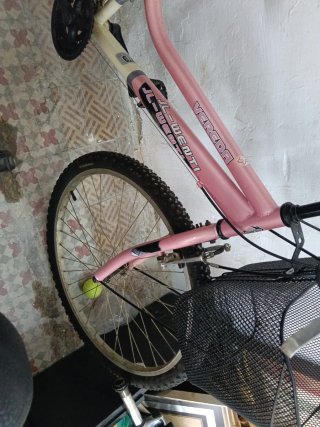 Bicicleta rosa JL-WENTI