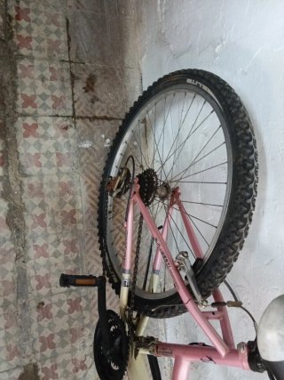 Bicicleta rosa JL-WENTI