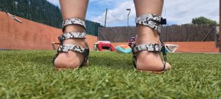 Sandalias Romanas Animal Print