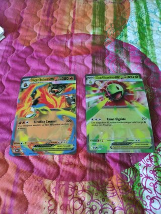 2 Cartas Pokémon Mega-Emboar Mega-Meganium Jumbo