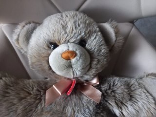 Peluche Orso classico Trudi Grigio