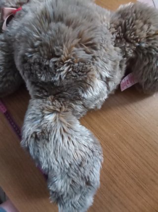 Peluche Orso classico Trudi Grigio