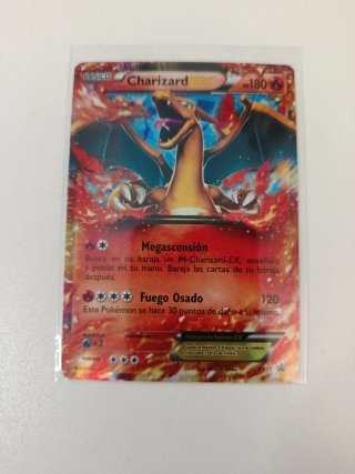 Lote Cartas Pokémon Groudon, Mewtwo, Charizard