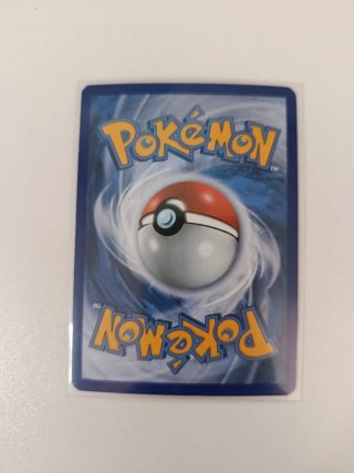 Lote Cartas Pokémon Groudon, Mewtwo, Charizard