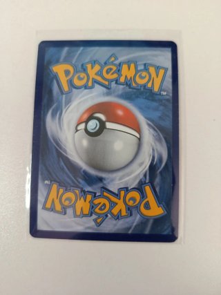 Lote Cartas Pokémon Groudon, Mewtwo, Charizard