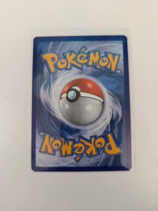 Lote Cartas Pokémon Groudon, Mewtwo, Charizard