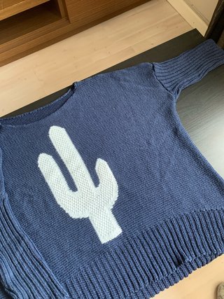 Jersey azul con cactus blanco.