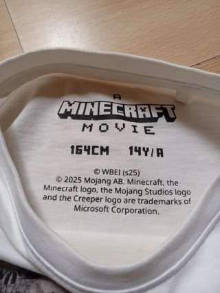 Camiseta Minecraft Talla 14