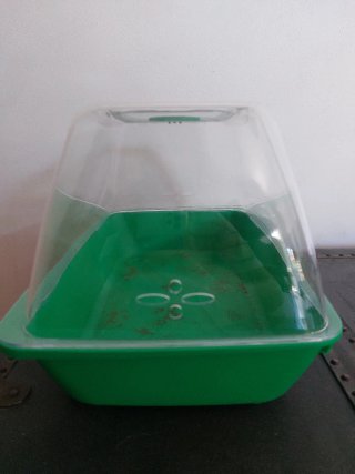 Mini invernadero para interiores