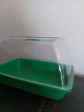 Mini invernadero para interiores