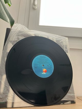 The Waterboys - A Pagan Place Vinilo