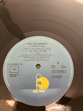 The Waterboys - A Pagan Place Vinilo