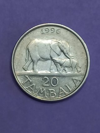 Moneda 1996 Elefante 20 Tambala Malawi