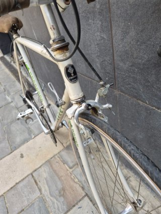 Bicicleta Clásica Blanca Torrot