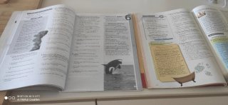 Pack libros Mindset 1r batx