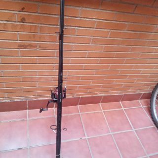 Caña de Carpfishing Selection Carp