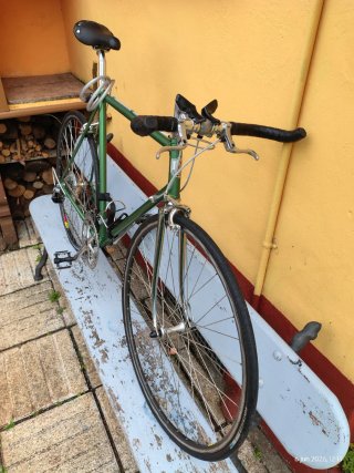 Bicicleta Urbana Campagnolo Verde