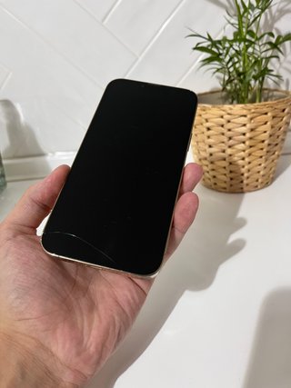 iPhone 13 Pro Max Oro 128gb