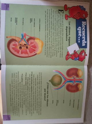 Colección Érase una vez el Cuerpo Humano DVD