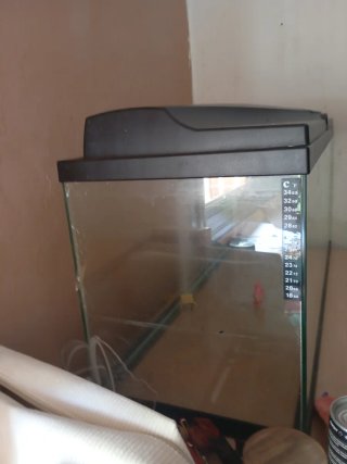 Pecera grande en perfecto estado