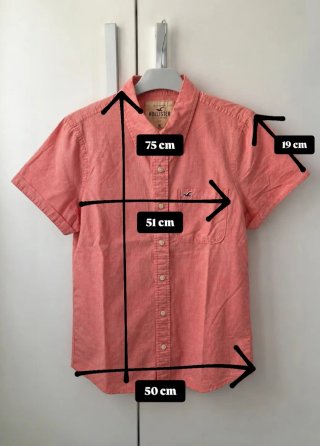 Camisa y Camiseta Hollister