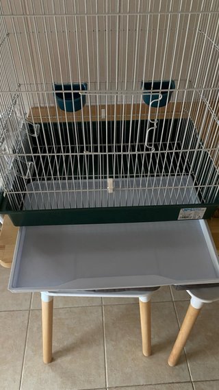 Jaula para pájaros con accesorios