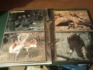 Colección Félix Rodríguez de la Fuente VHS