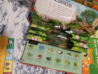 Lote de libros infantiles