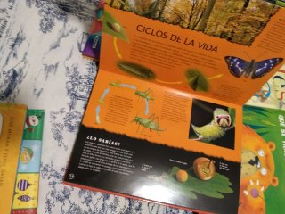 Lote de libros infantiles
