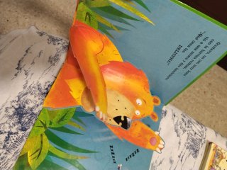 Lote de libros infantiles